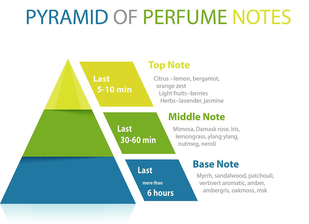 Top, Middle, and Base Notes: A Simple Breakdown