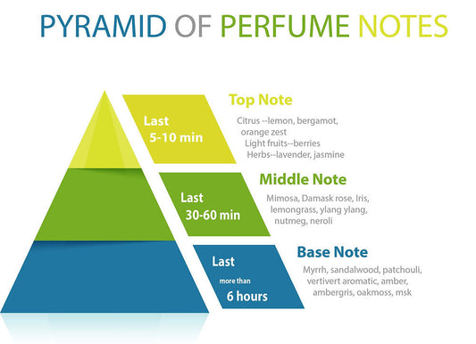 Top, Middle, and Base Notes: A Simple Breakdown